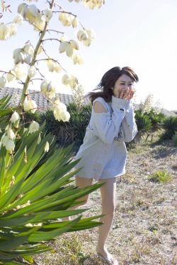 白月光回来以后